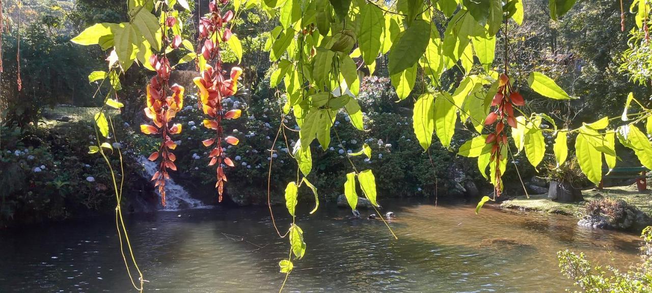 Espirito Das Aguas Chales Lumiar Buitenkant foto